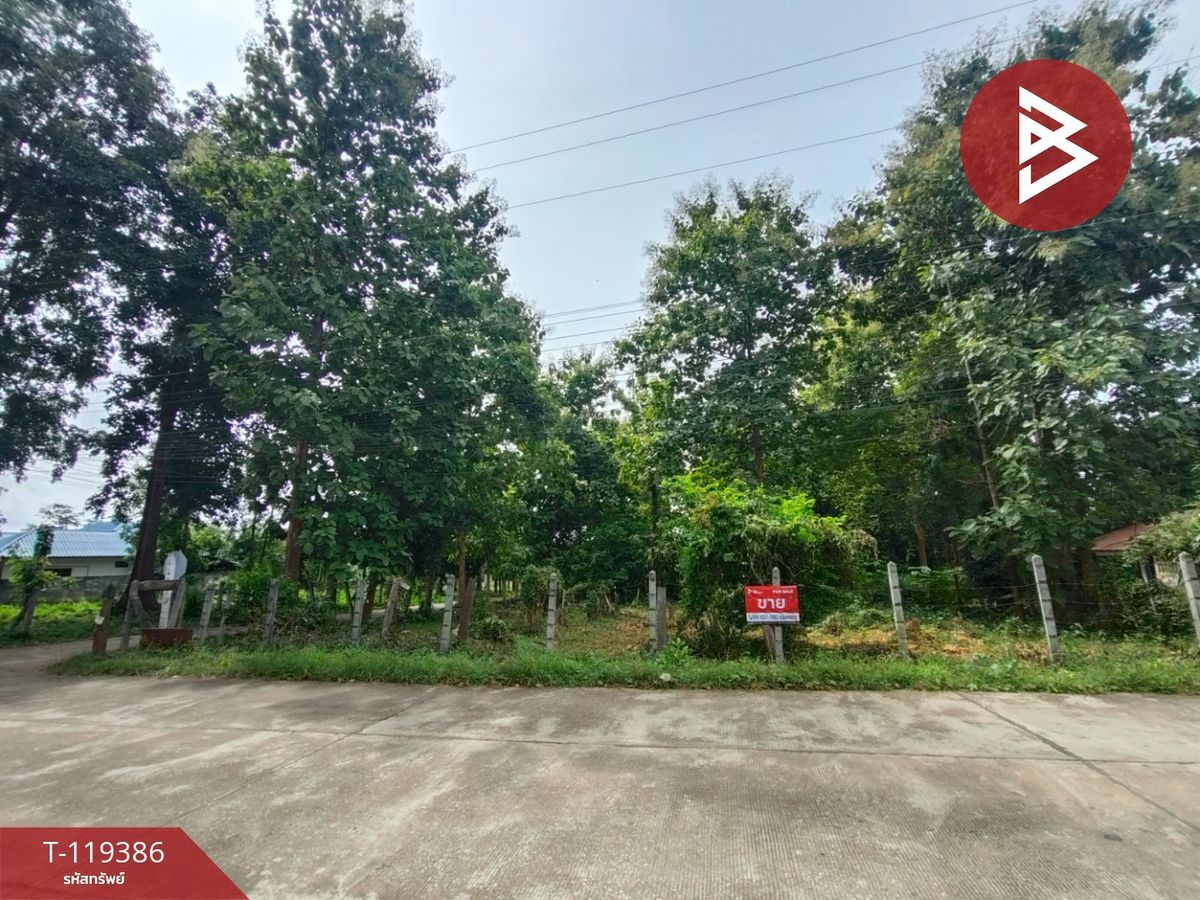 ขายที่ดินอุตรดิตถ์ : ขายที่ดิน เนื้อที่ 1 ไร่ 39 ตร.วา ลับแล อุตรดิตถ์