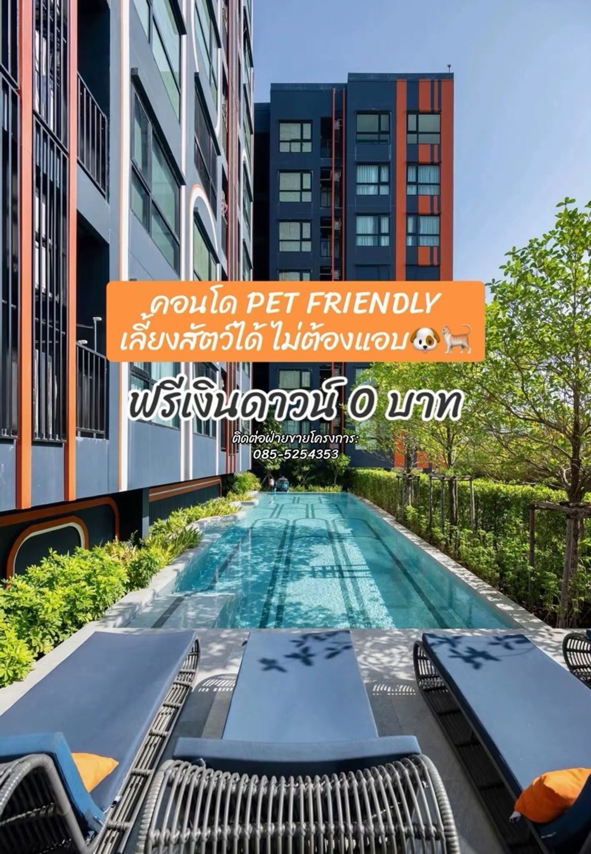 For SaleCondoVipawadee, Don Mueang, Lak Si : Free !! 0 baht down payment.