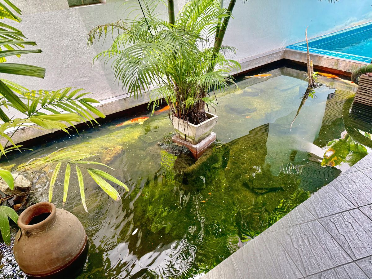 For SaleHotel&Apartment BusinessSukhumvit, Asoke, Thonglor : Apartments for sale“ Ban Sasida “4 Building, 229 sq.w. 1240 sq. meters, Sukhumvit 24