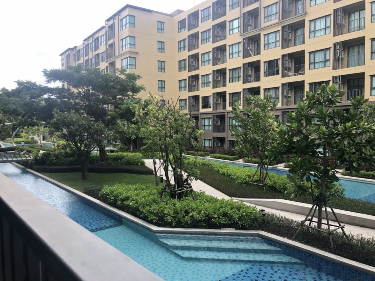 ให้เช่าคอนโดชะอำ เพชรบุรี : ขาย เช่า เรน ชะอำ-หัวหิน 1 นอน 1 น้ำ