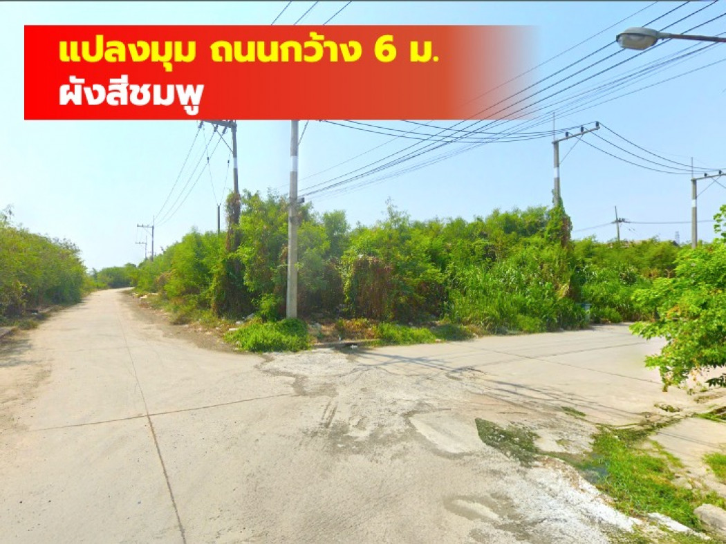 ขายที่ดินมหาชัย สมุทรสาคร : ขาย ที่ดิน คอกกระบือ สมุทรสาคร 2 ไร่ 3 งาน 15 ตรว ใกล้ ถ.เอกชัยแค่ 3.1 กม. KK