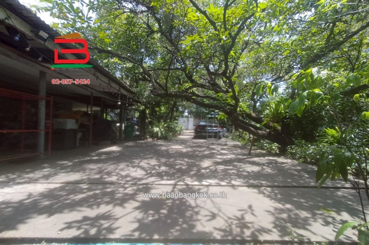 ขายที่ดินลาดพร้าว เซ็นทรัลลาดพร้าว : ที่ดินพร้อมสิ่งปลูกสร้าง ลาดพร้าว 64 แยก 10 เนื้อที่ 256 ตรว. เขตบางกะปิ กรุงเทพมหานคร