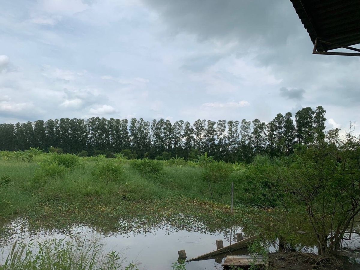 For SaleLandNakhon Nayok : Quick sale of 90 rai of land on the new road Rangsit, Nakhon Nayok-Ban Na, wide, has water throughout the year.