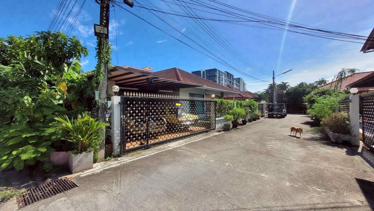 ขายบ้านพัทยา บางแสน ชลบุรี สัตหีบ : 🏡 ขายบ้านเดี่ยวชั้นเดียว โซนพัทยา

📍 เนื้อที่ดิน 268 ตร.ม. (67 ตร.วา)