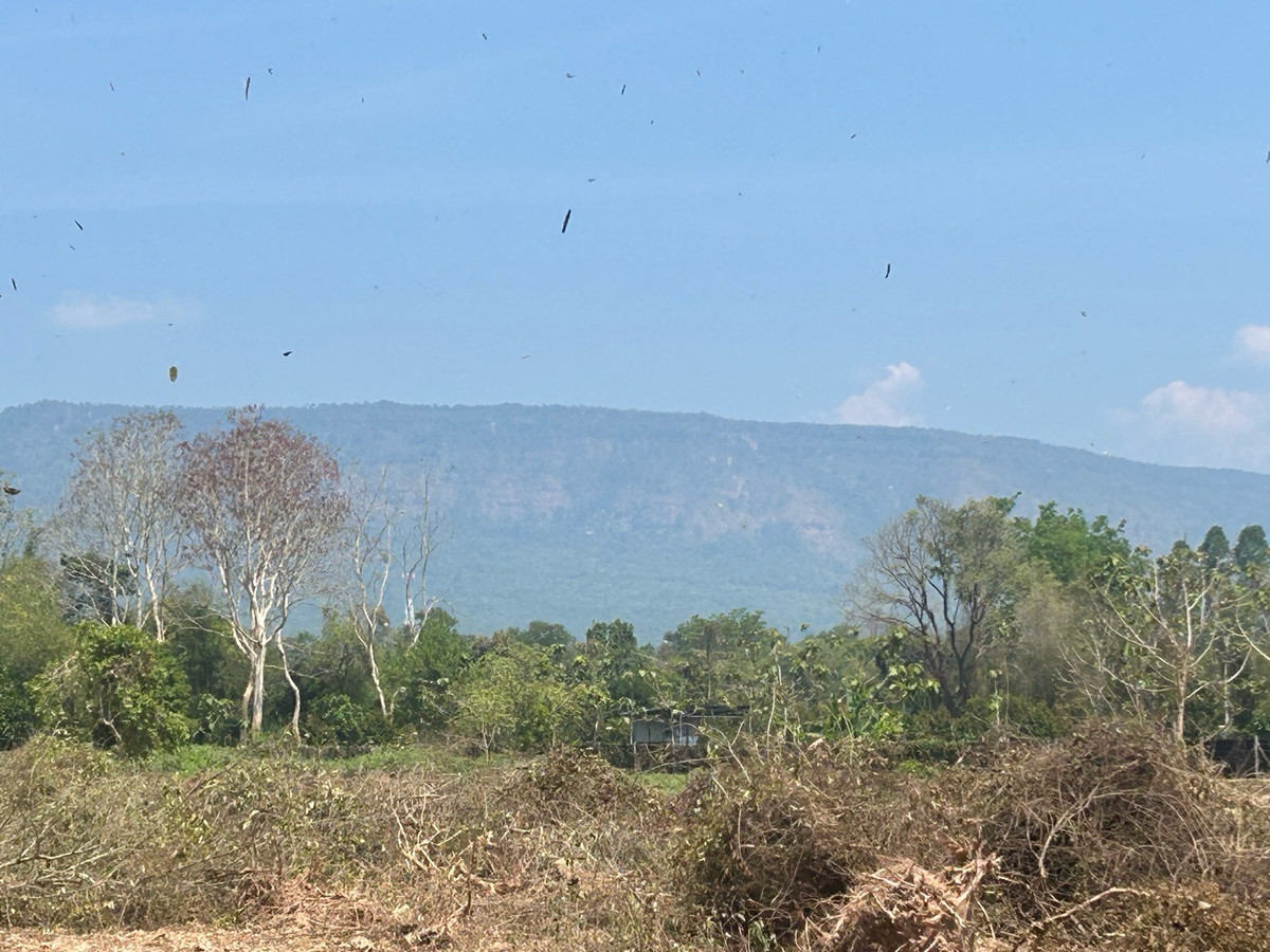 ขายที่ดินนครนายก : ขายที่ดิน 6 ไร่ นครนายก (วิวเขาใหญ่)  6 กิโล ถึงจุดท่องเที่ยว เขาใหญ่