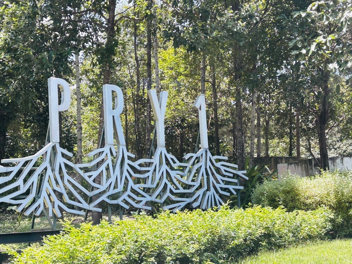 ขายที่ดินนครนายก : ขายที่ดิน 6 ไร่ นครนายก (วิวเขาใหญ่)  6 กิโล ถึงจุดท่องเที่ยว เขาใหญ่