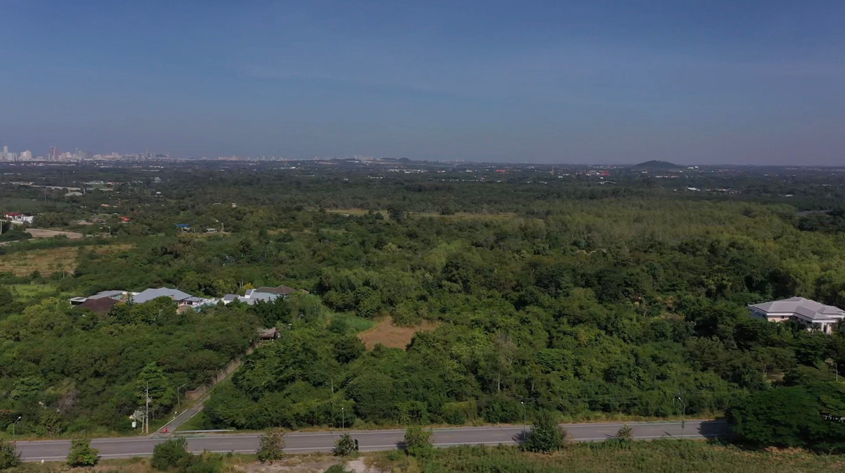 ขายที่ดินพัทยา บางแสน ชลบุรี สัตหีบ : ประกาศขายที่ดินเปล่า สนามกอล์ฟฟินิกซ์ บางละมุง ชลบุรี แปลงใหญ่ หน้ากว้าง ติดถนน