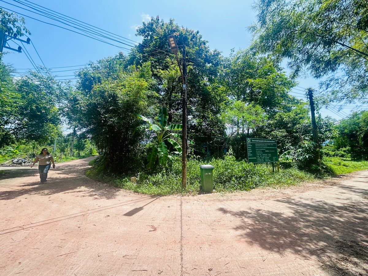 ขายที่ดินนครนายก : ขายที่ดิน 6 ไร่ นครนายก (วิวเขาใหญ่)  6 กิโล ถึงจุดท่องเที่ยว เขาใหญ่