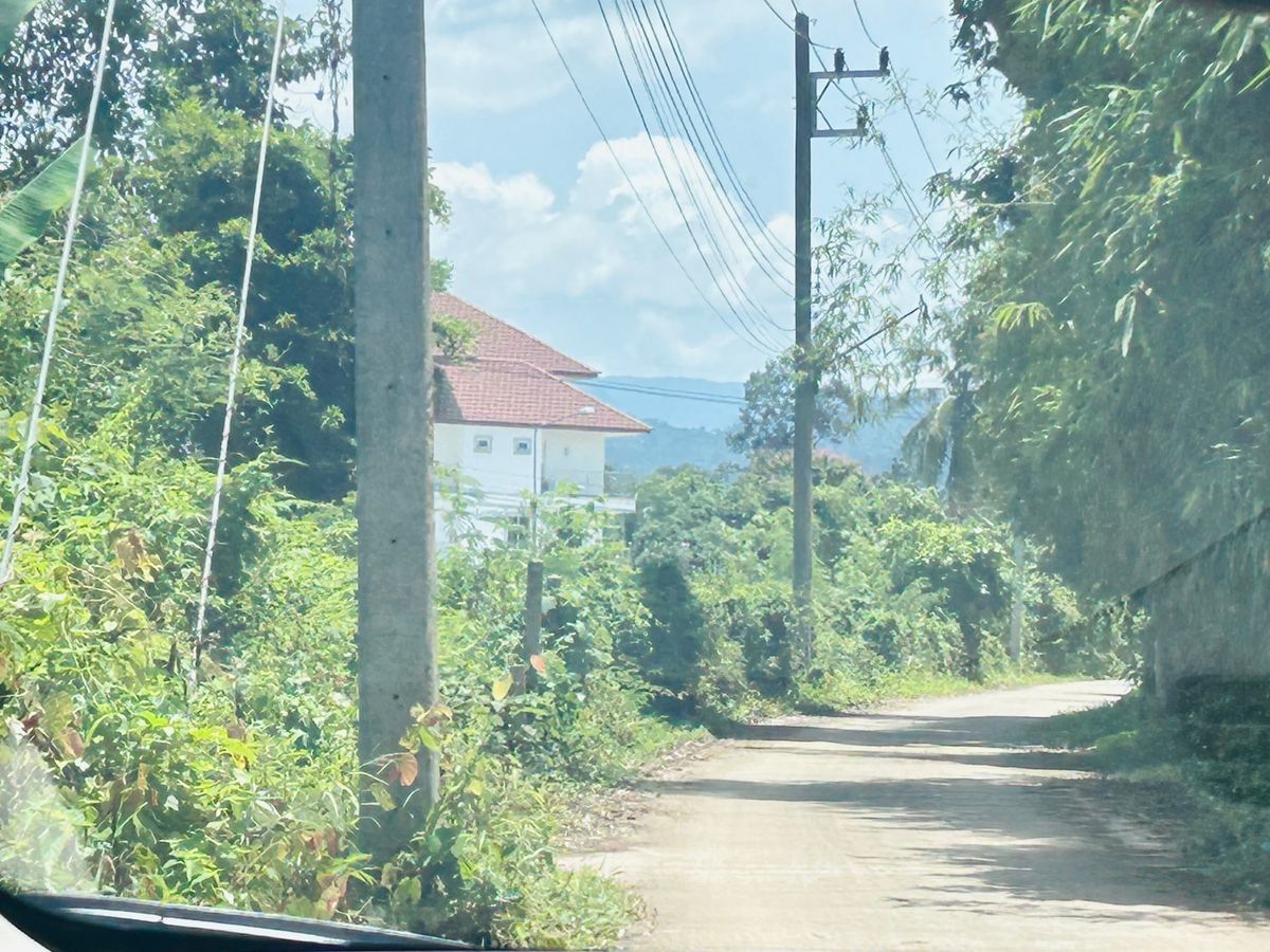 ขายที่ดินนครนายก : ขายที่ดิน 6 ไร่ นครนายก (วิวเขาใหญ่)  6 กิโล ถึงจุดท่องเที่ยว เขาใหญ่