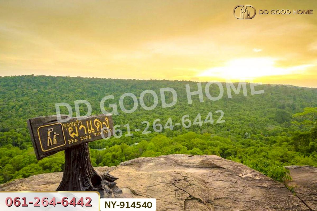 ขายที่ดินสระแก้ว : NY-914540 ที่ดินเมืองสระแก้ว 98 ตร.ว. สระแก้ว ใกล้ศาลเจ้ามูลนิธิธรรมสุขศิริ