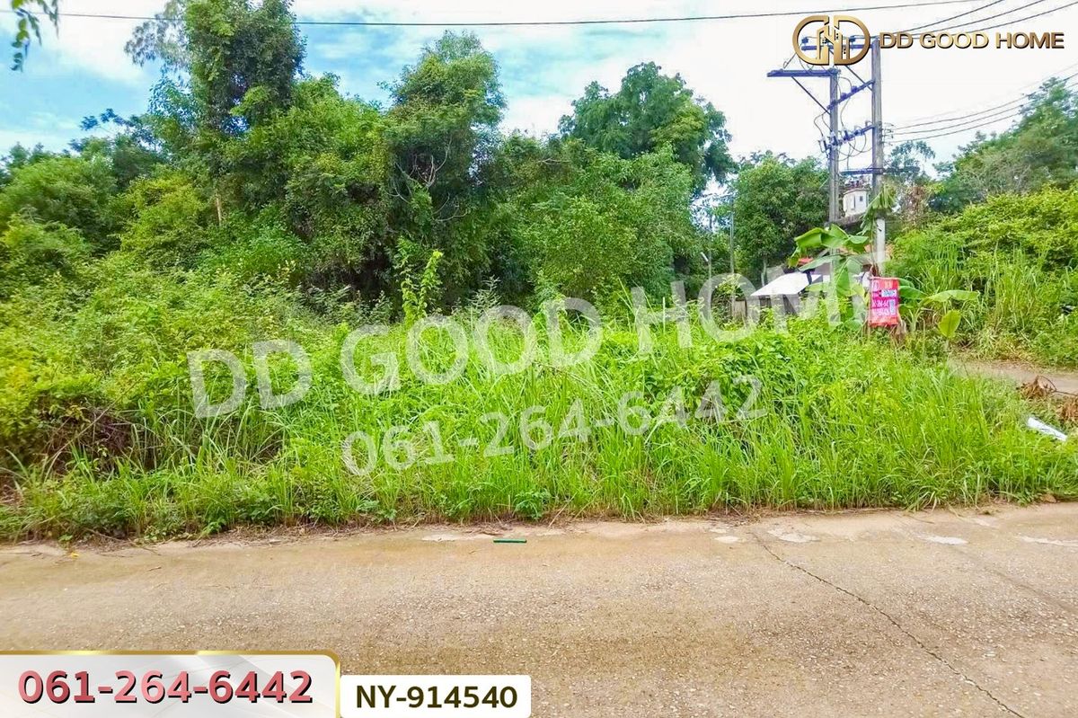 ขายที่ดินสระแก้ว : NY-914540 ที่ดินเมืองสระแก้ว 98 ตร.ว. สระแก้ว ใกล้ศาลเจ้ามูลนิธิธรรมสุขศิริ