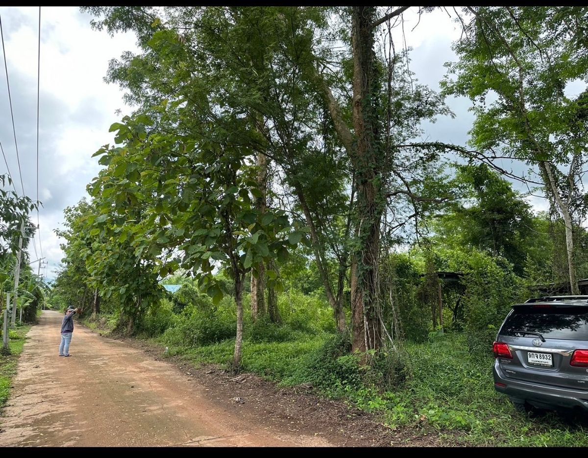 ขายที่ดินนครนายก : ขายที่ดิน 6 ไร่ นครนายก (วิวเขาใหญ่)  6 กิโล ถึงจุดท่องเที่ยว เขาใหญ่