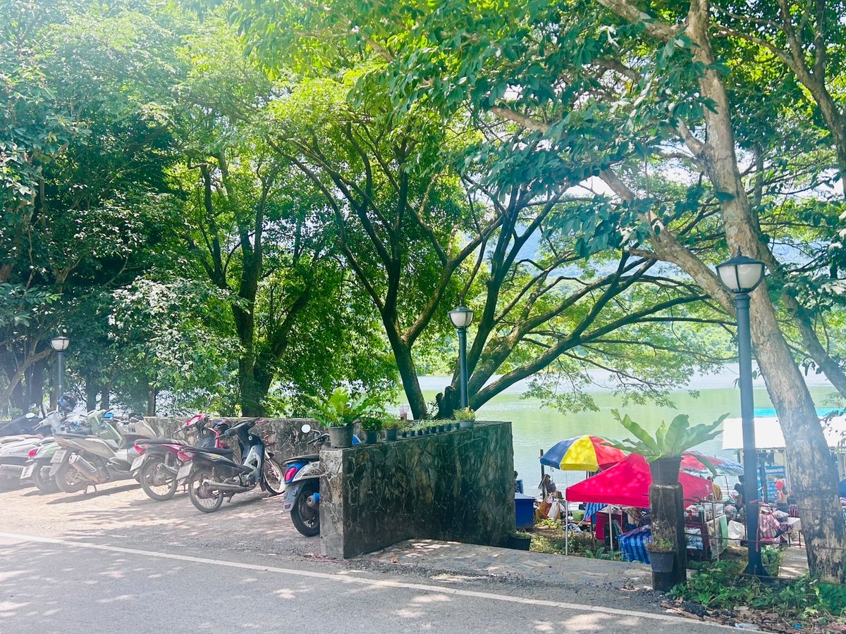 ขายที่ดินนครนายก : ขายที่ดิน 6 ไร่ นครนายก (วิวเขาใหญ่)  6 กิโล ถึงจุดท่องเที่ยว เขาใหญ่