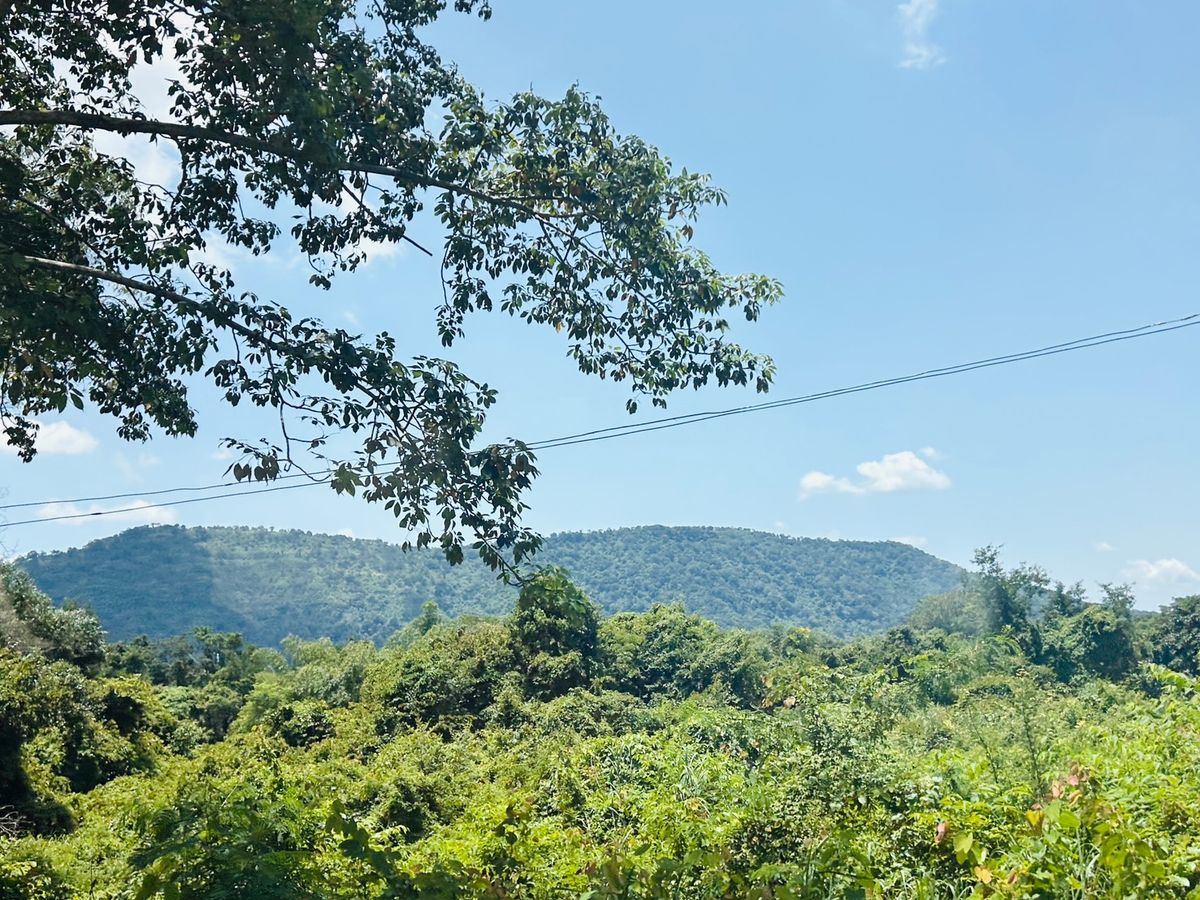 ขายที่ดินนครนายก : ขายที่ดิน 6 ไร่ นครนายก (วิวเขาใหญ่)  6 กิโล ถึงจุดท่องเที่ยว เขาใหญ่