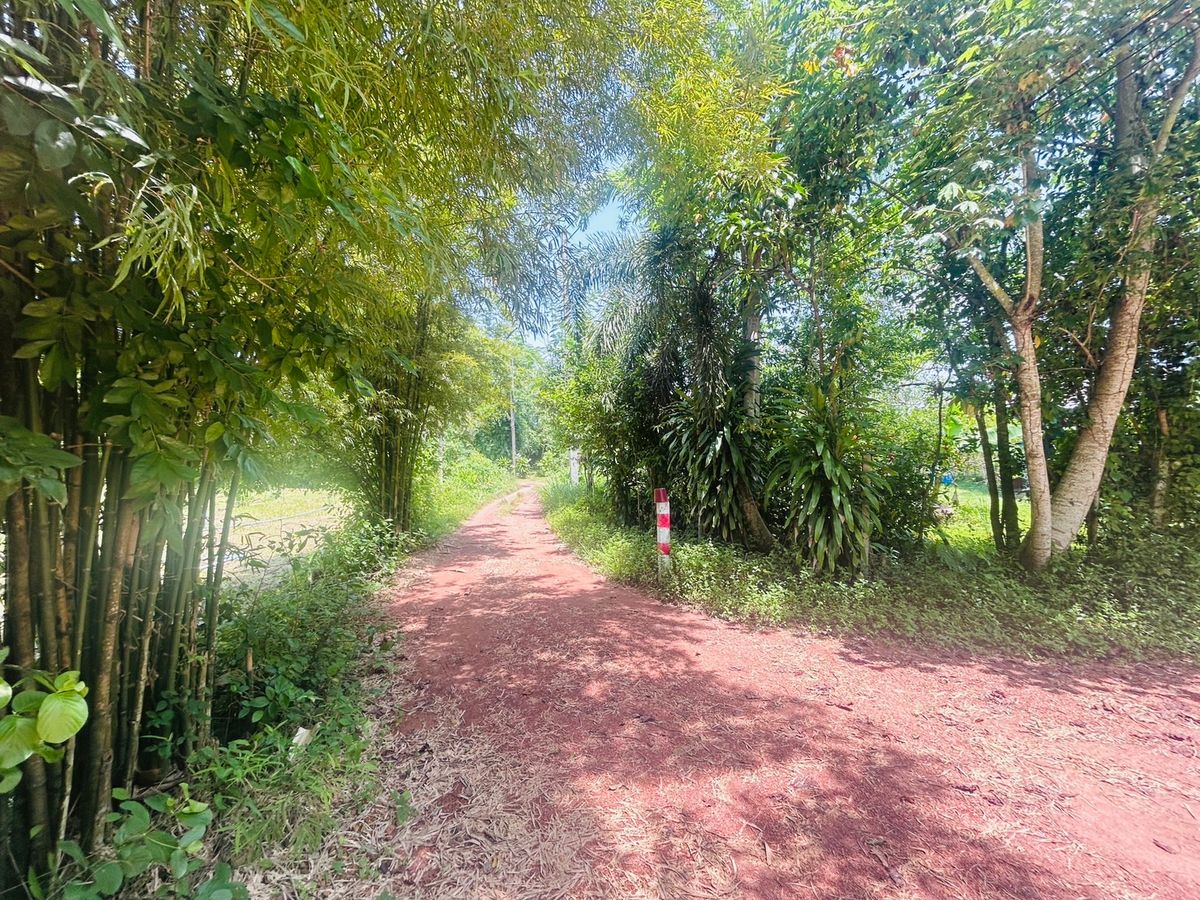 ขายที่ดินนครนายก : ขายที่ดิน 6 ไร่ นครนายก (วิวเขาใหญ่)  6 กิโล ถึงจุดท่องเที่ยว เขาใหญ่