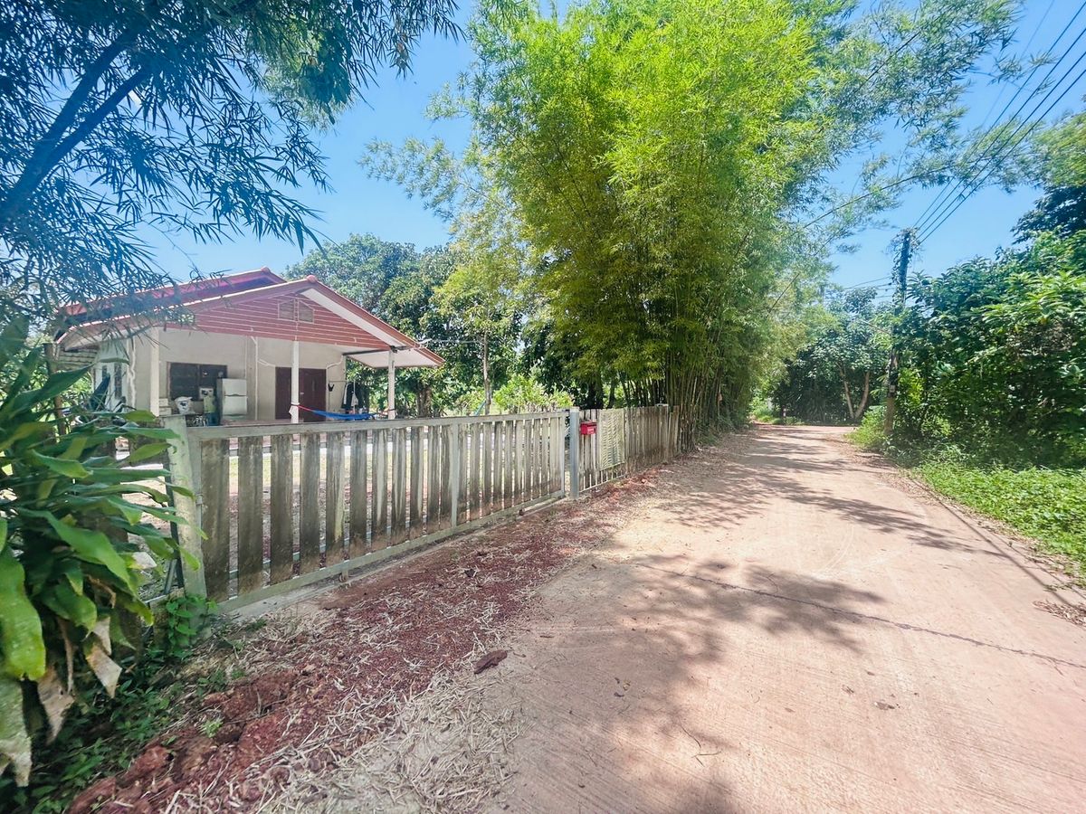 ขายที่ดินนครนายก : ขายที่ดิน 6 ไร่ นครนายก (วิวเขาใหญ่)  6 กิโล ถึงจุดท่องเที่ยว เขาใหญ่