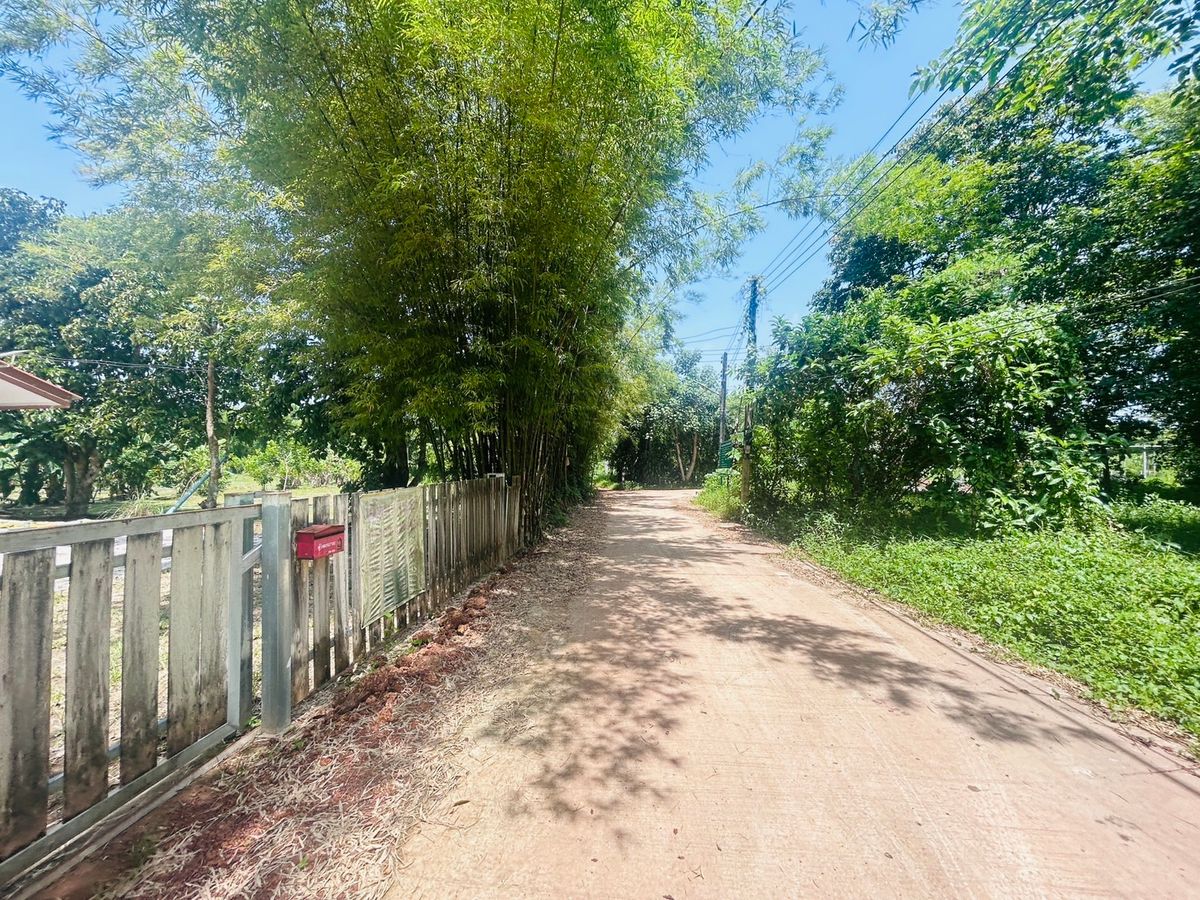 ขายที่ดินนครนายก : ขายที่ดิน 6 ไร่ นครนายก (วิวเขาใหญ่)  6 กิโล ถึงจุดท่องเที่ยว เขาใหญ่