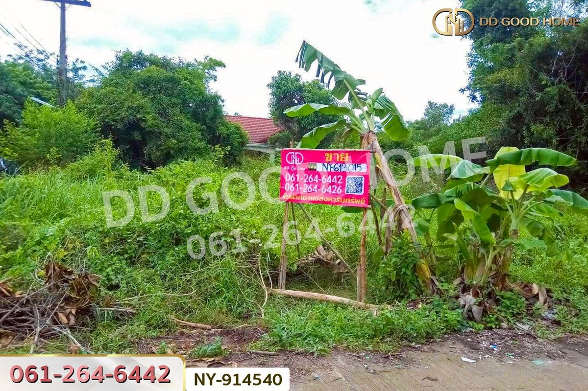 ขายที่ดินสระแก้ว : NY-914540 ที่ดินเมืองสระแก้ว 98 ตร.ว. สระแก้ว ใกล้ศาลเจ้ามูลนิธิธรรมสุขศิริ