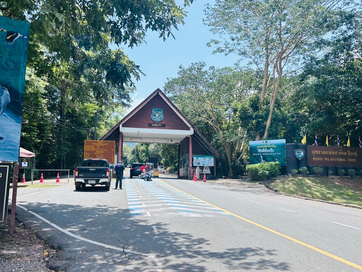 ขายที่ดินนครนายก : ขายที่ดิน 6 ไร่ นครนายก (วิวเขาใหญ่)  6 กิโล ถึงจุดท่องเที่ยว เขาใหญ่