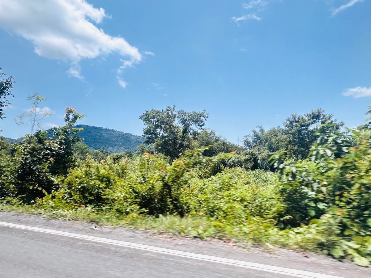 ขายที่ดินนครนายก : ขายที่ดิน 6 ไร่ จังหวัด นครนายก (วิวเขาใหญ่) จากที่ดินเพียง 6 กิโล ถึง จุดท่องเที่ยว 