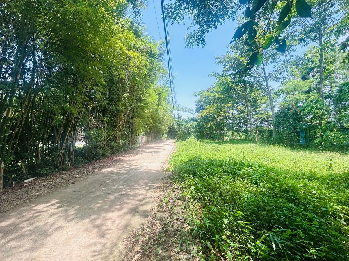 ขายที่ดินนครนายก : ขายที่ดิน 6 ไร่ นครนายก (วิวเขาใหญ่)  6 กิโล ถึงจุดท่องเที่ยว เขาใหญ่