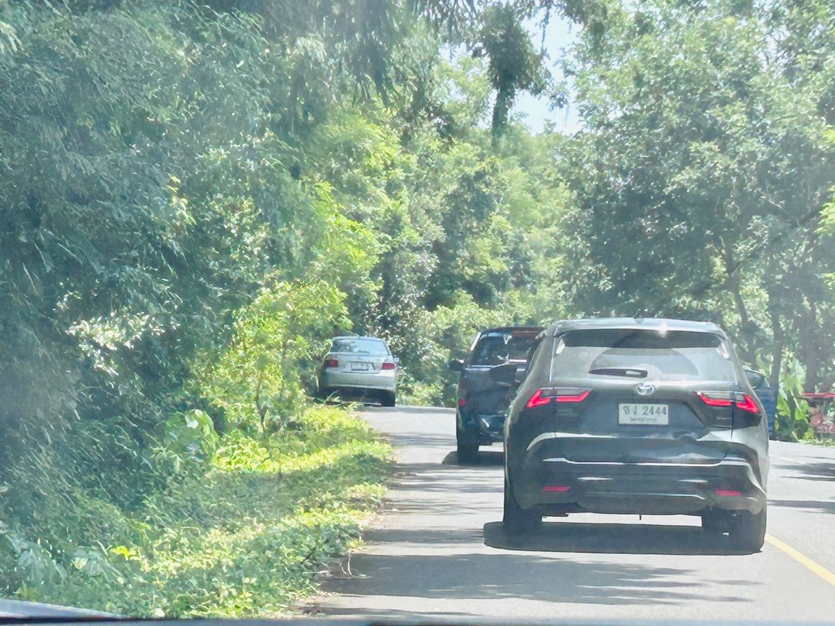 ขายที่ดินนครนายก : ขายที่ดิน 6 ไร่ นครนายก (วิวเขาใหญ่)  6 กิโล ถึงจุดท่องเที่ยว เขาใหญ่