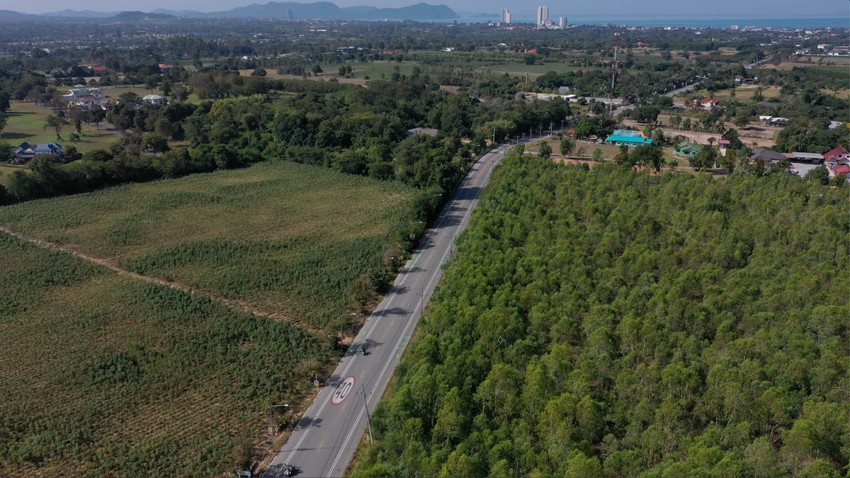 ขายที่ดินพัทยา บางแสน ชลบุรี สัตหีบ : ประกาศขายที่ดินเปล่า สนามกอล์ฟฟินิกซ์ บางละมุง ชลบุรี แปลงใหญ่ หน้ากว้าง ติดถนน