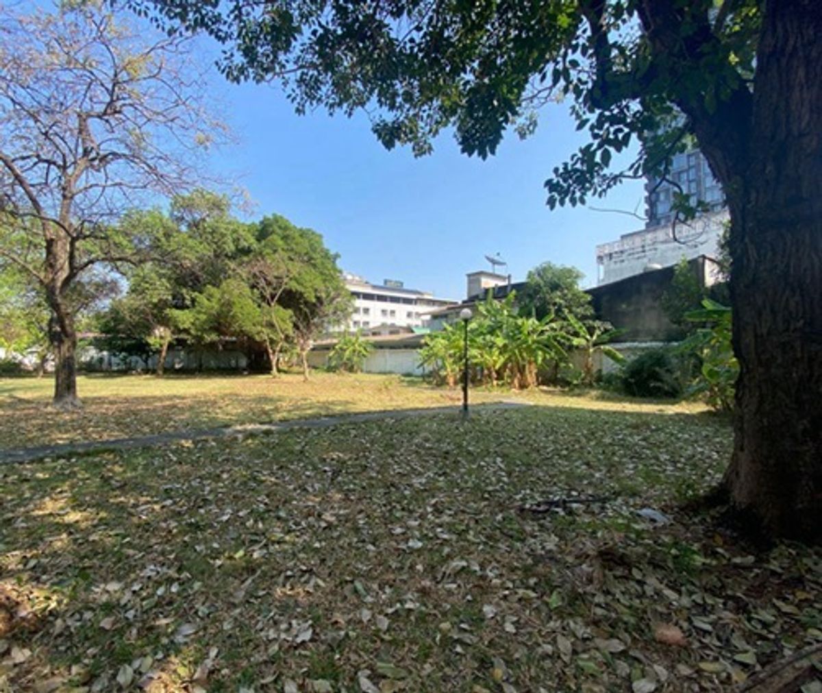 ขายที่ดินอ่อนนุช อุดมสุข : 🔥 ที่ดินสุขุมวิท หายาก! ศักยภาพสูง พัฒนาโครงการได้ 24 ชั้น เหมาะสำหรับโครงการคอนโดมิเนียม, อาคารสำนักงาน หรือโครงการมิกซ์ยูสขนาดใหญ่ ใจกลางย่านธุรกิจ ใกล้ทางด่วนและสิ่งอำนวยความสะดวกครบครัน