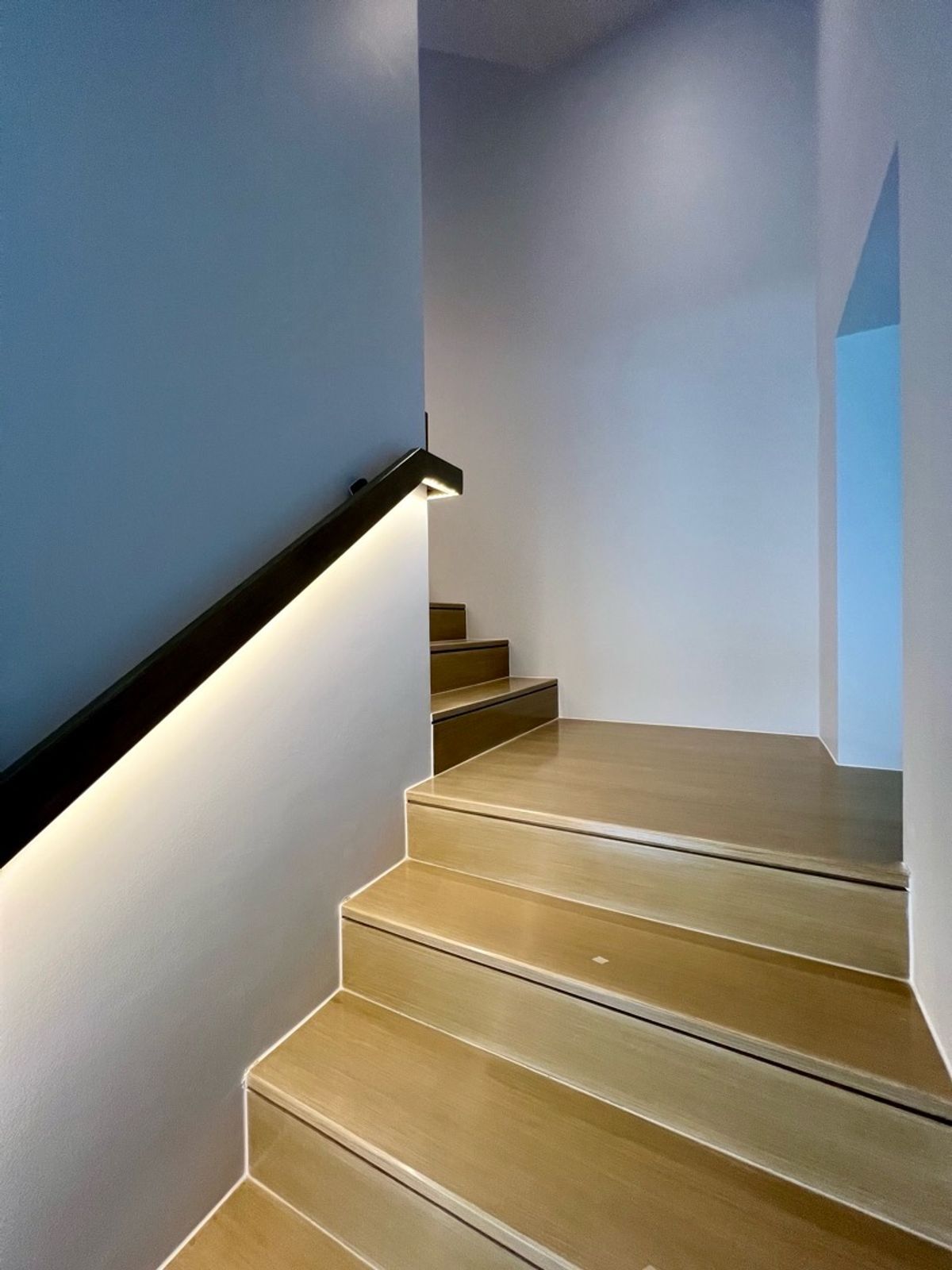 ขายบ้านเกษตร นวมินทร์ ลาดปลาเค้า : 🏡Providence Lane Kaset – Nawamin บ้านเดี่ยว 3 ชั้น 532 ตร.ม. 4 ห้องนอน 5 ห้องน้ำ มีลิฟท์+สระว่ายน้ำ เริ่ม 35 ล้าน เท่านั้น 📲 095-9299924 (K.เบนซ์) 