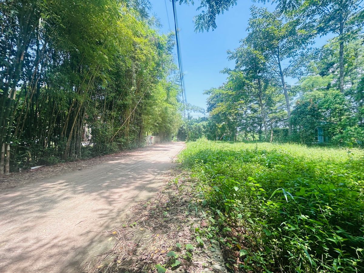 ขายที่ดินนครนายก : ขายที่ดิน 6 ไร่ นครนายก (วิวเขาใหญ่)  6 กิโล ถึงจุดท่องเที่ยว เขาใหญ่