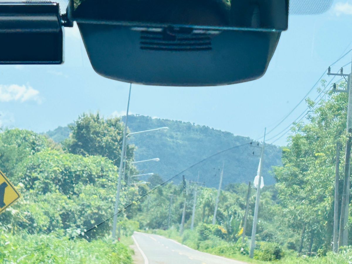 ขายที่ดินนครนายก : ขายที่ดิน 6 ไร่ นครนายก (วิวเขาใหญ่)  6 กิโล ถึงจุดท่องเที่ยว เขาใหญ่