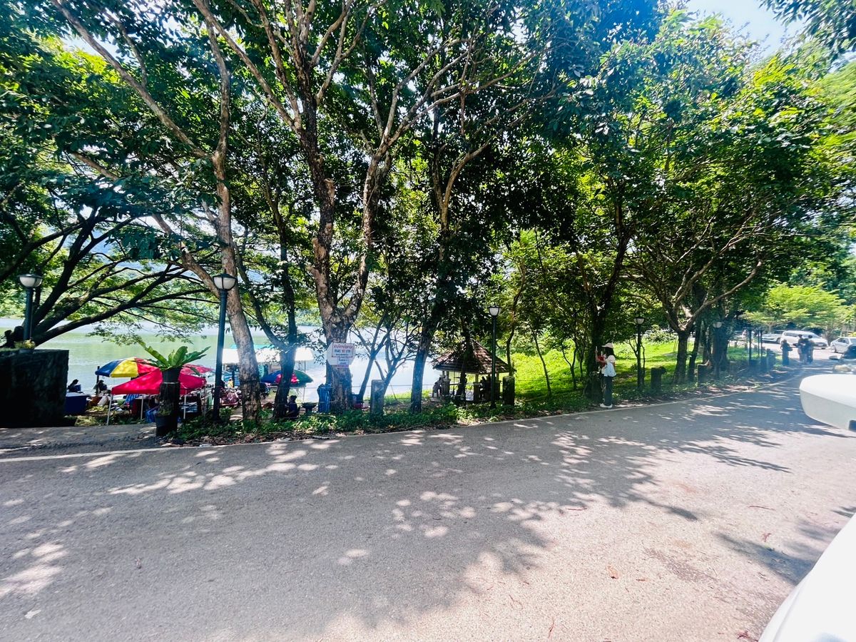 ขายที่ดินนครนายก : ขายที่ดิน 6 ไร่ นครนายก (วิวเขาใหญ่)  6 กิโล ถึงจุดท่องเที่ยว เขาใหญ่