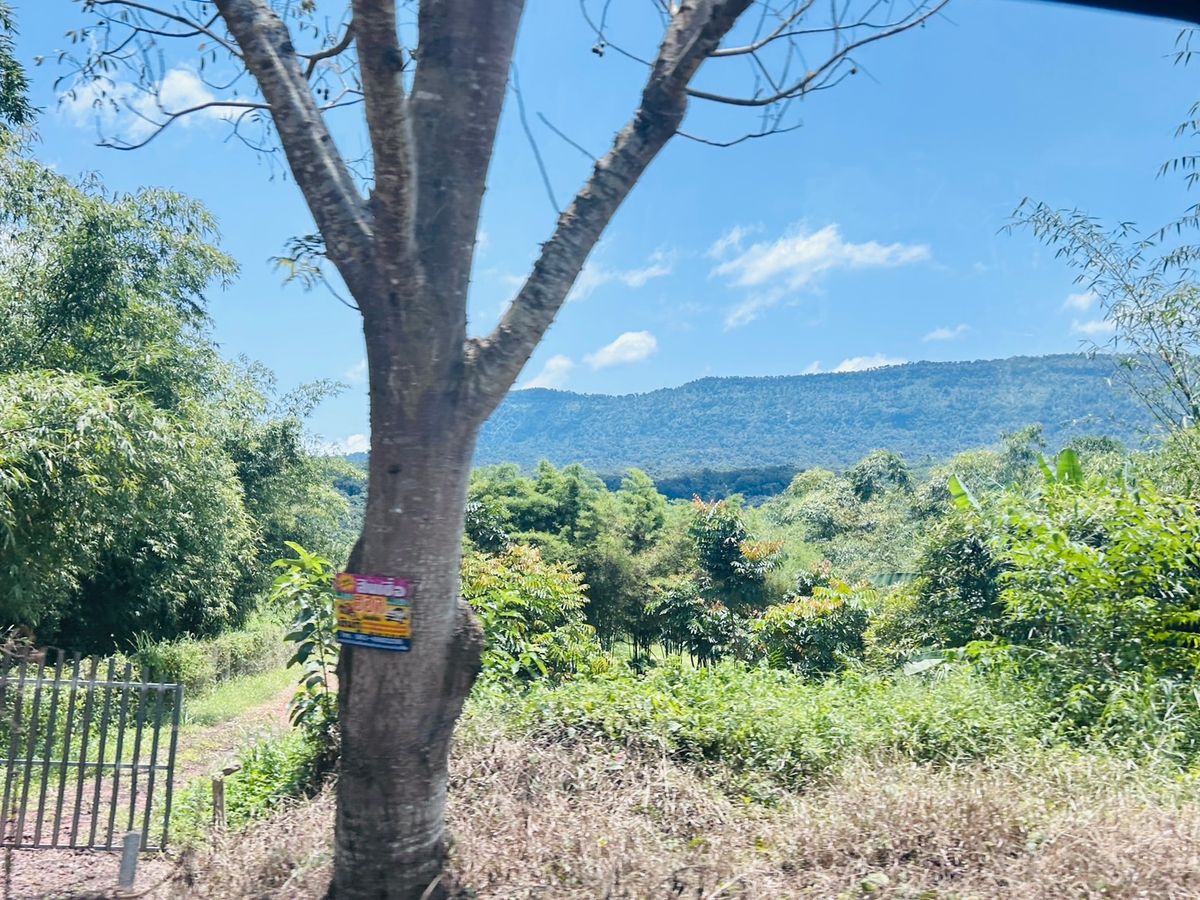 ขายที่ดินนครนายก : ขายที่ดิน 6 ไร่ นครนายก (วิวเขาใหญ่)  6 กิโล ถึงจุดท่องเที่ยว เขาใหญ่