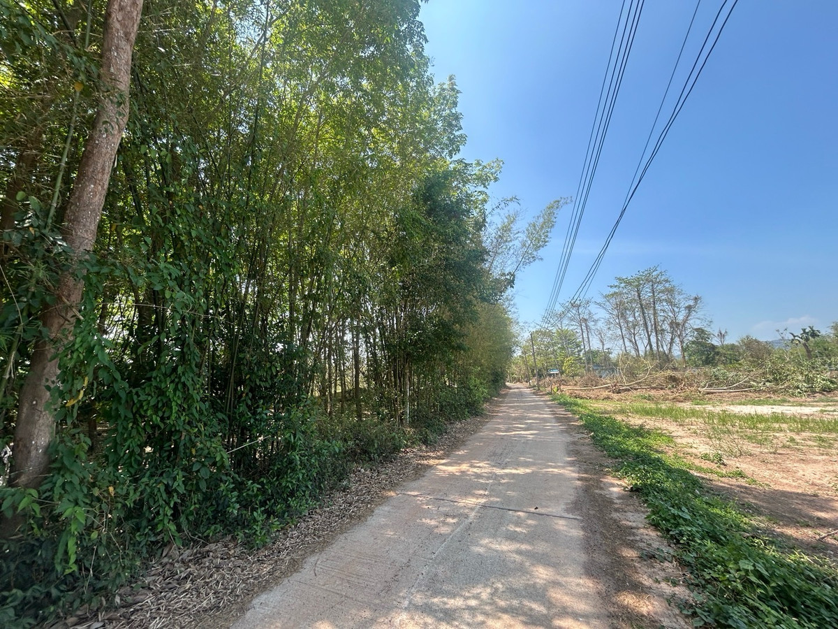 ขายที่ดินนครนายก : ขายที่ดิน 6 ไร่ นครนายก (วิวเขาใหญ่)  6 กิโล ถึงจุดท่องเที่ยว เขาใหญ่