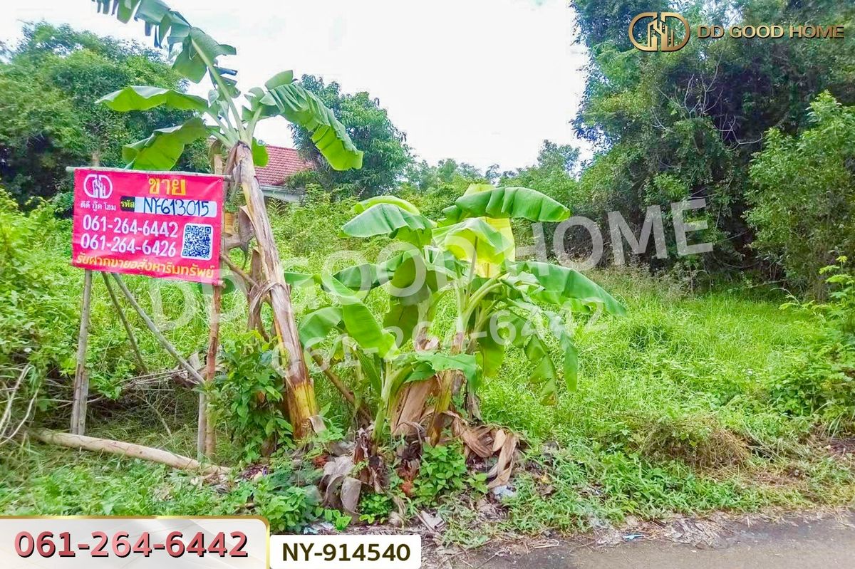 ขายที่ดินสระแก้ว : NY-914540 ที่ดินเมืองสระแก้ว 98 ตร.ว. สระแก้ว ใกล้ศาลเจ้ามูลนิธิธรรมสุขศิริ