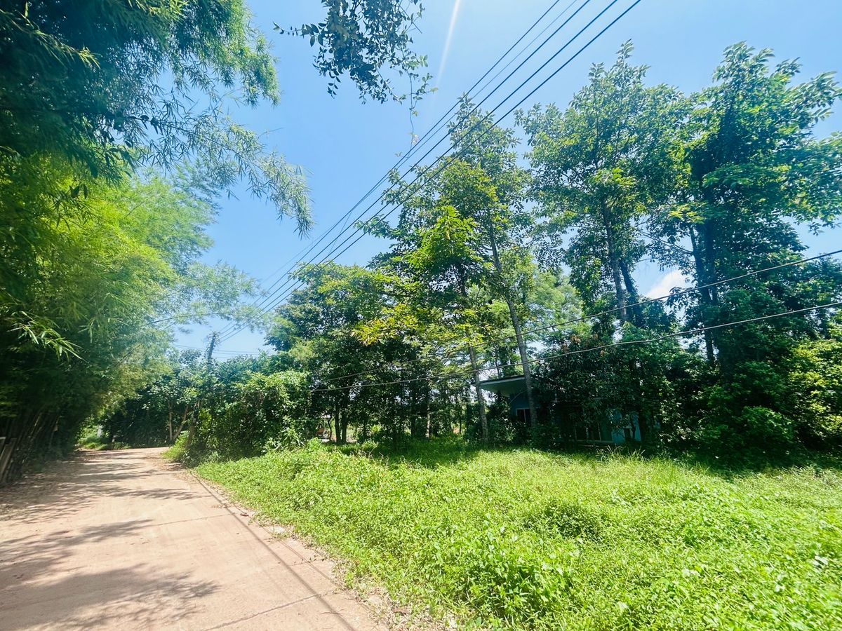 ขายที่ดินนครนายก : ขายที่ดิน 6 ไร่ นครนายก (วิวเขาใหญ่)  6 กิโล ถึงจุดท่องเที่ยว เขาใหญ่