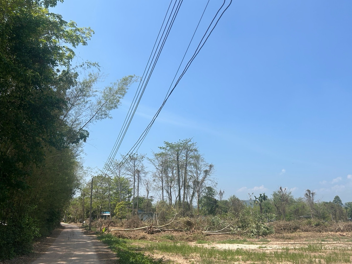 ขายที่ดินนครนายก : ขายที่ดิน 6 ไร่ นครนายก (วิวเขาใหญ่)  6 กิโล ถึงจุดท่องเที่ยว เขาใหญ่