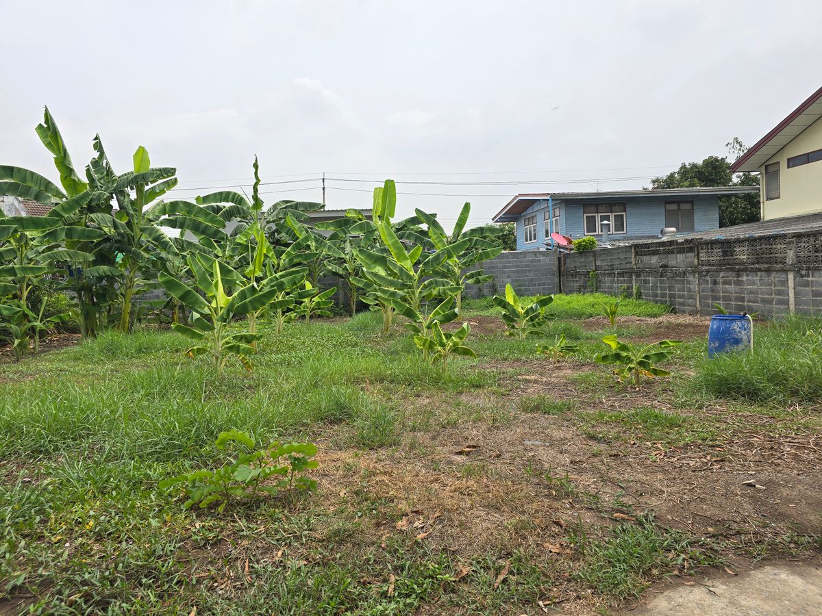 ขายที่ดินแจ้งวัฒนะ เมืองทอง : ขายด่วนที่ดินในติวานนท์ 32 ขนาด 99 ตรว. กว้างประมาณ 20 เมตรถมแล้ว