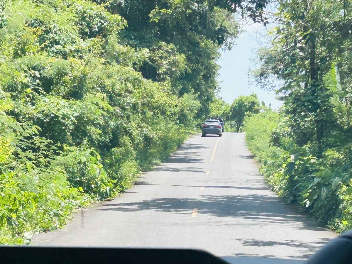 ขายที่ดินนครนายก : ขายที่ดิน 6 ไร่ นครนายก (วิวเขาใหญ่)  6 กิโล ถึงจุดท่องเที่ยว เขาใหญ่