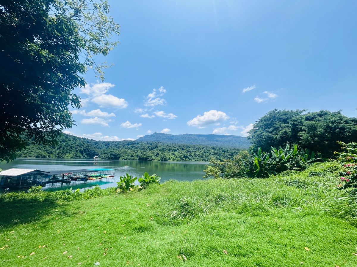 ขายที่ดินนครนายก : ขายที่ดิน 6 ไร่ นครนายก (วิวเขาใหญ่)  6 กิโล ถึงจุดท่องเที่ยว เขาใหญ่