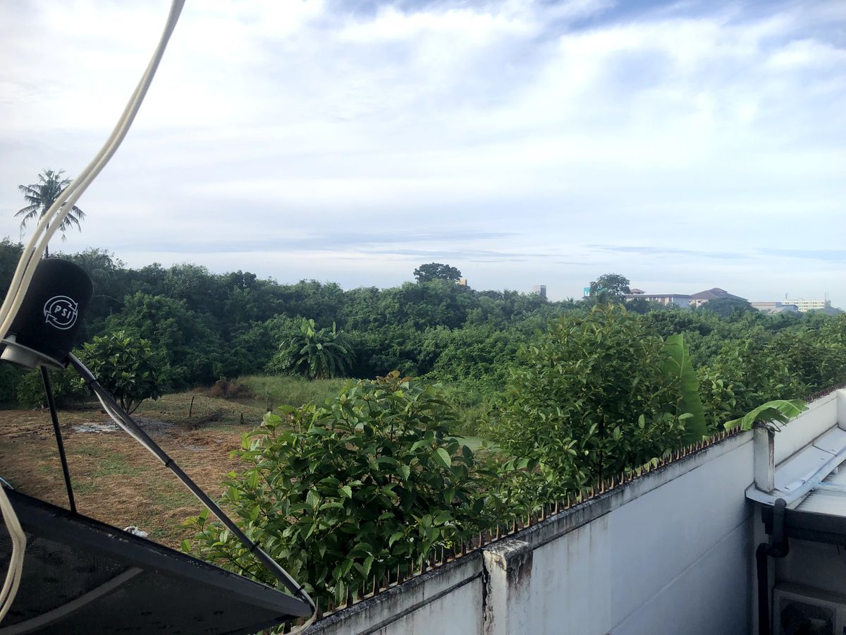 For RentHousePhutthamonthon, Salaya : Rent a detached house, Chaiyapruek Phutthamonthon 5, near the Hit, Kanchana Medical Center, next to Rattanakosin University, Salaya, with 24,000 baht fir.