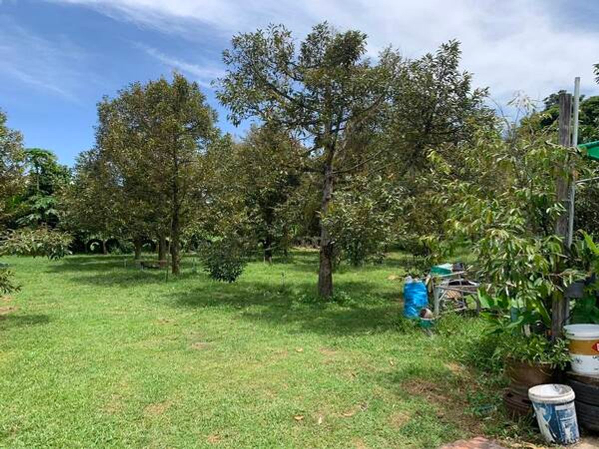 For SaleLandPrachin Buri : Land for sale 🏡 House Ready to enter the size of 3 rai 3 ngan 10 sq. 164 meters wide, 84 meters deep