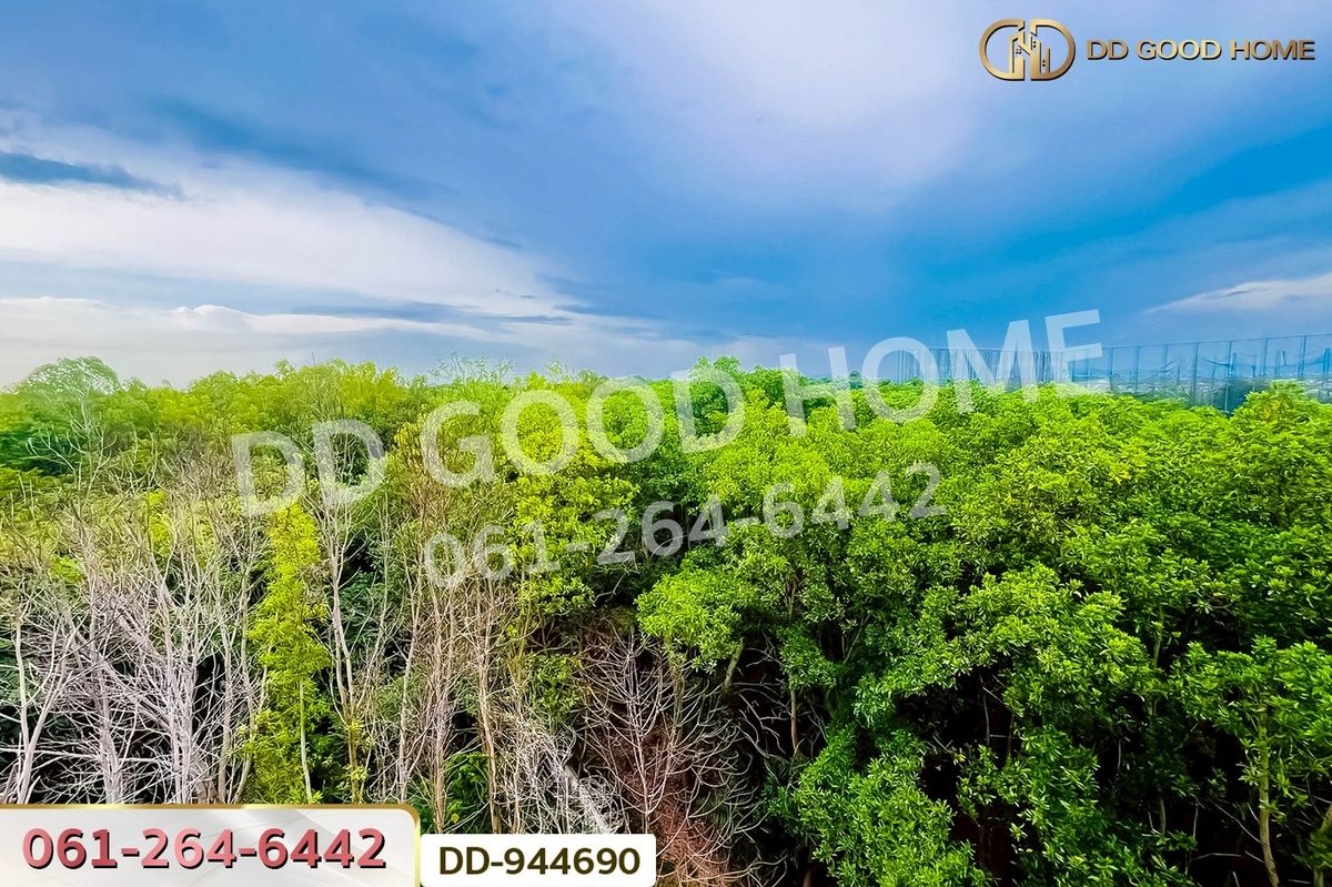 ขายคอนโดระยอง : DD-944690 คอนโด บันยัน เทอร์เรส 2 ระยอง ใกล้สำนักงานเทศบาลตำบลบ้านเพ