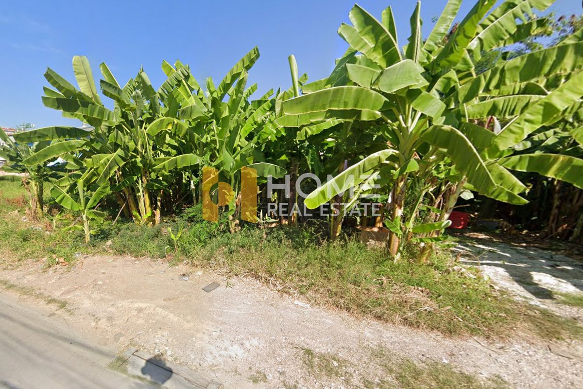 ขายที่ดินอ่อนนุช อุดมสุข : ที่ดินเปล่า 366 ตร.ม. ซอยอ่อนนุช 66  / (ขาย), Vacant land 366 sq.m. Soi On Nut 66 / (FOR SALE) FON095