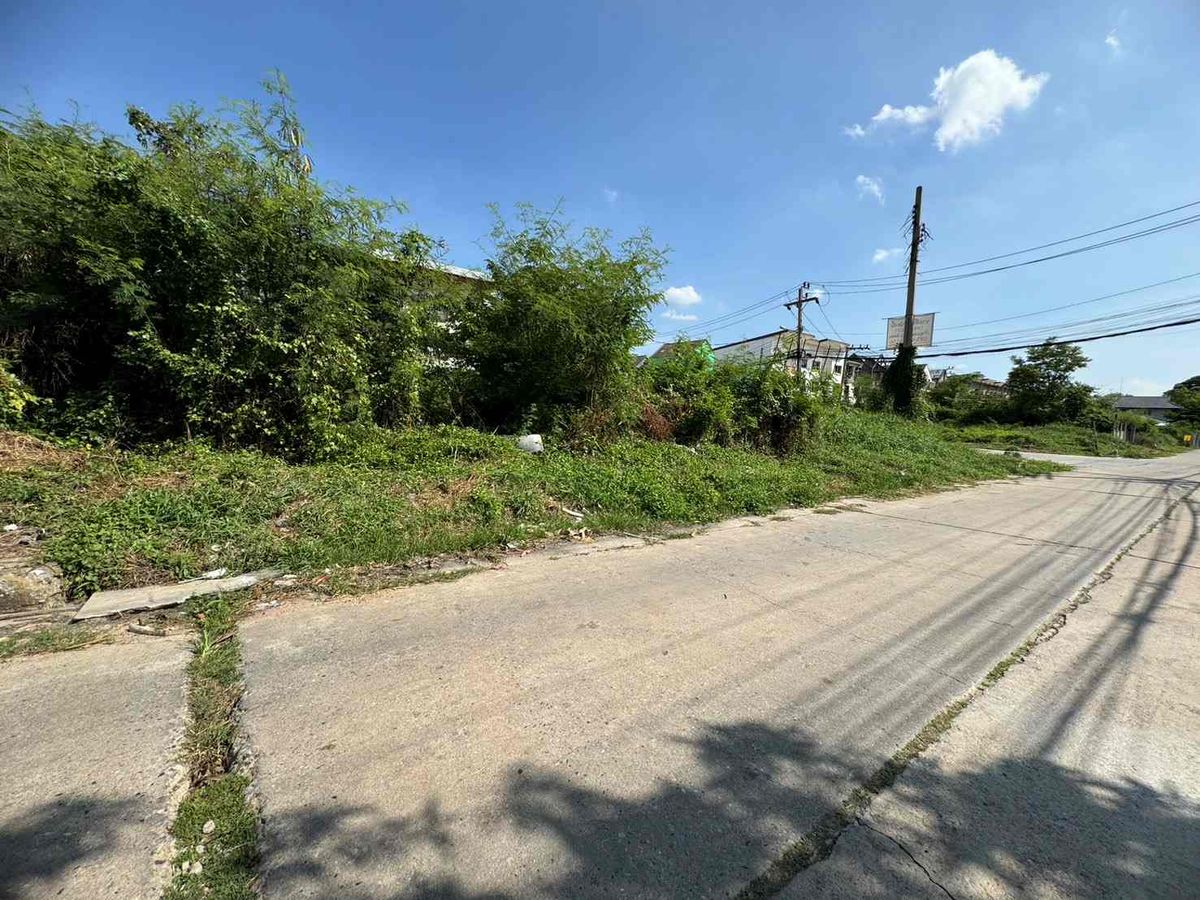 ขายที่ดินพัฒนาการ ศรีนครินทร์ : ขายถูกที่ดิน ซ.พัฒนาการ 69 แยก 2 แปลงมุมติดถนน 3 ด้าน *ราคาต่อรองได้ (N.601)