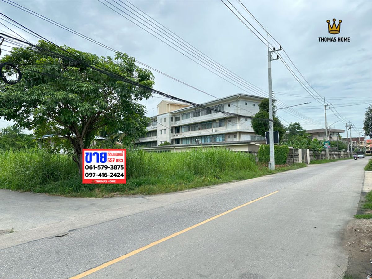 For SaleLandNakhon Pathom : Urgent sale! Golden Land 557 sq.w. Soi Mor Si - Sampran Nakhon Pathom
