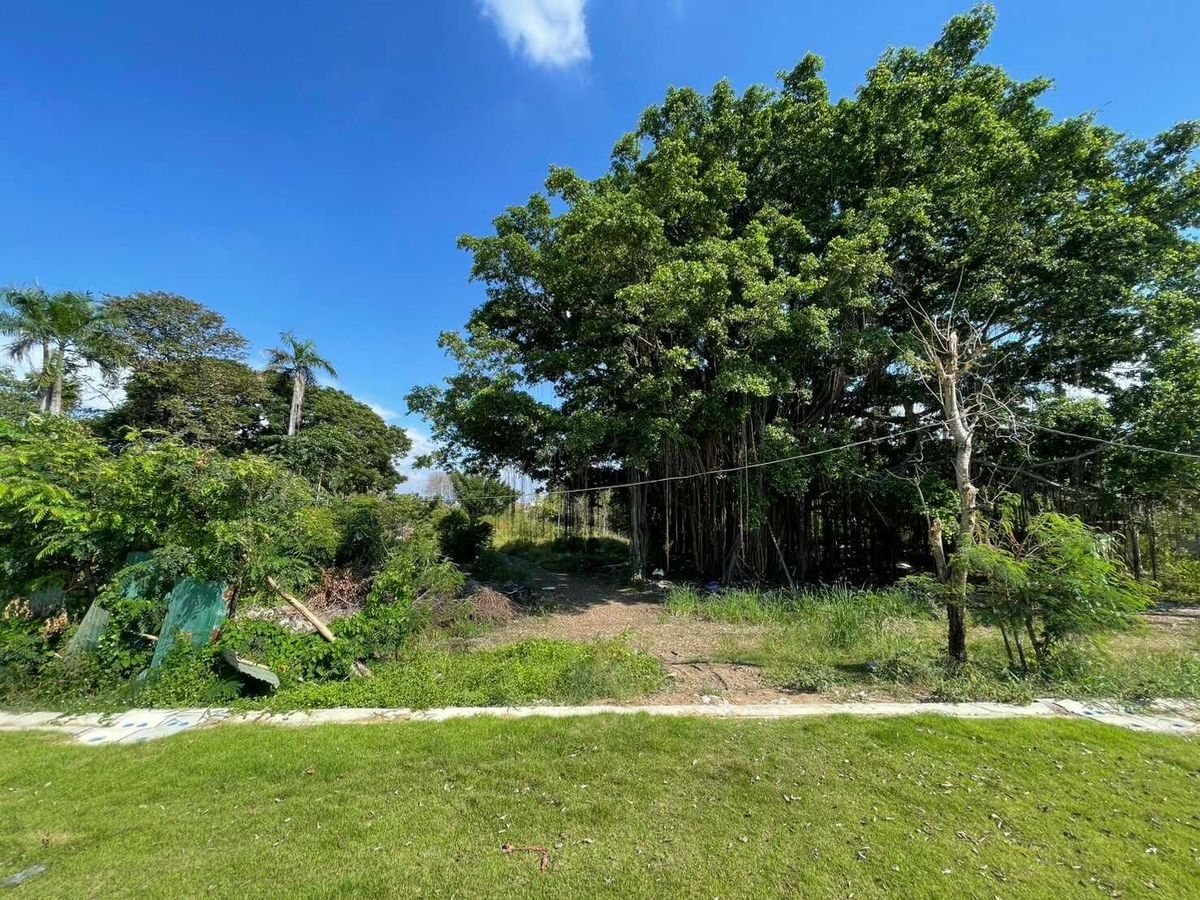 For SaleLandPathum Thani,Rangsit, Thammasat : Land for sale near Rangsit University Suitable for making an apartment 4-3-49 rai