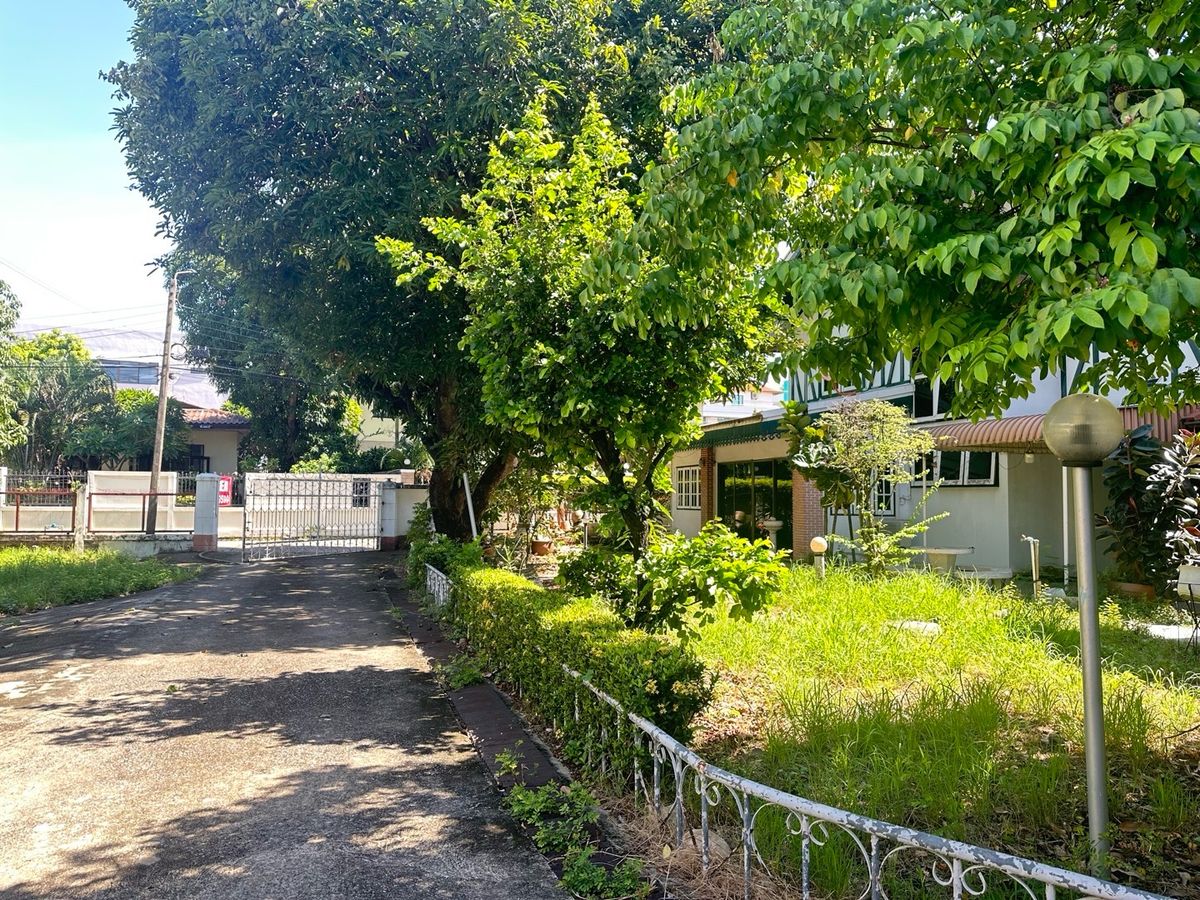 ขายที่ดินรัชดา ห้วยขวาง : ขายที่ดิน ทำเลใจกลางเมือง  ดินแดง ห้วยขวาง สุทธิสาร  ใกล้ ม. หอการค้า และสถานีวิทยุโทรทัศน์ช่อง 11 กรมประชาสัมพันธ์ ทำเลดี เข้าออกได้หลายทาง