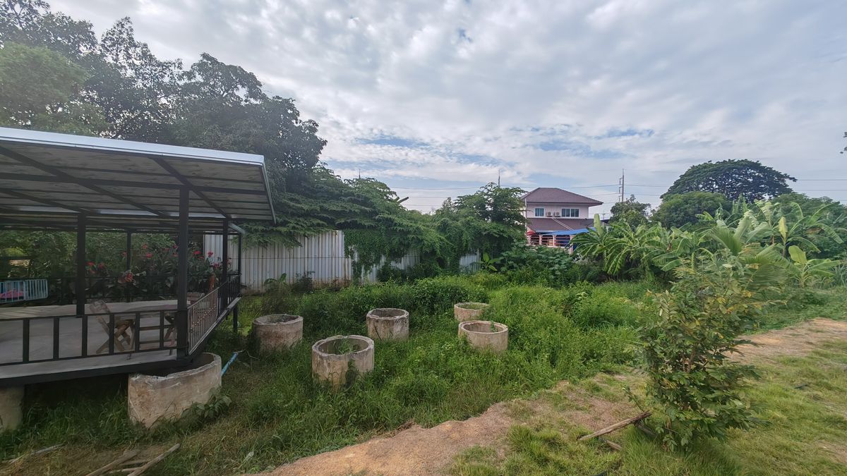 ขายที่ดินนครปฐม : ที่ดินติดถนนเพชรเกษม ถูกมาก ถมและล้อมรั้วแล้ว ต.ธรรมศาลา อ.เมืองนครปฐม จ.นครปฐม 🔸ที่ดิน รวม3แปลง ขนาด 262 ตร.ว. ขายยกแปลง พิเศษเพียง 11.9 ล้านบาท คุ้มสุดในทำเลนี้