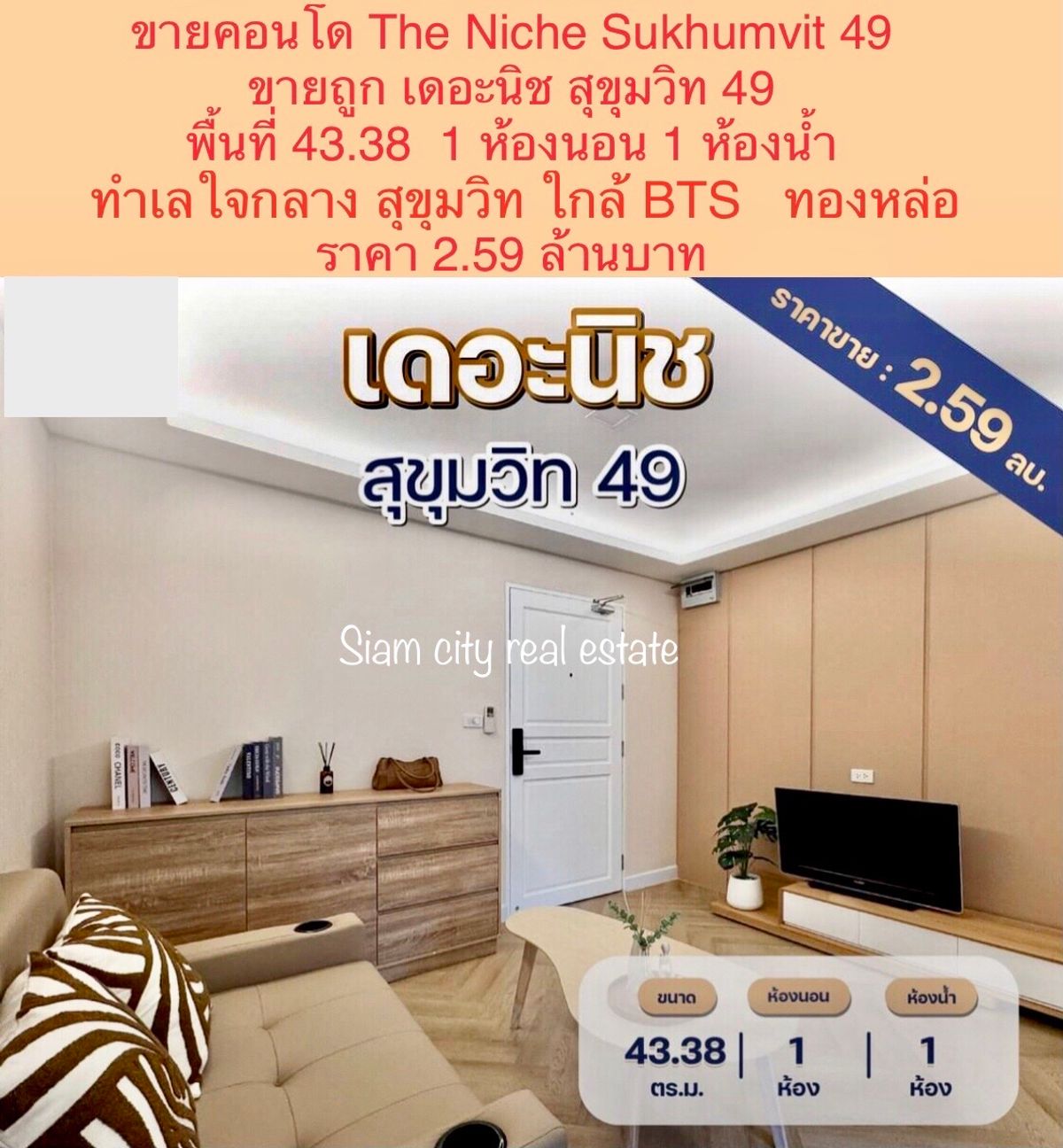 ขายคอนโดสุขุมวิท อโศก ทองหล่อ : ขายคอนโดรีโนเวทใหม่ใจกลางสุขุมวิท โครงการ เดอะนิช สุขุมวิท 49 